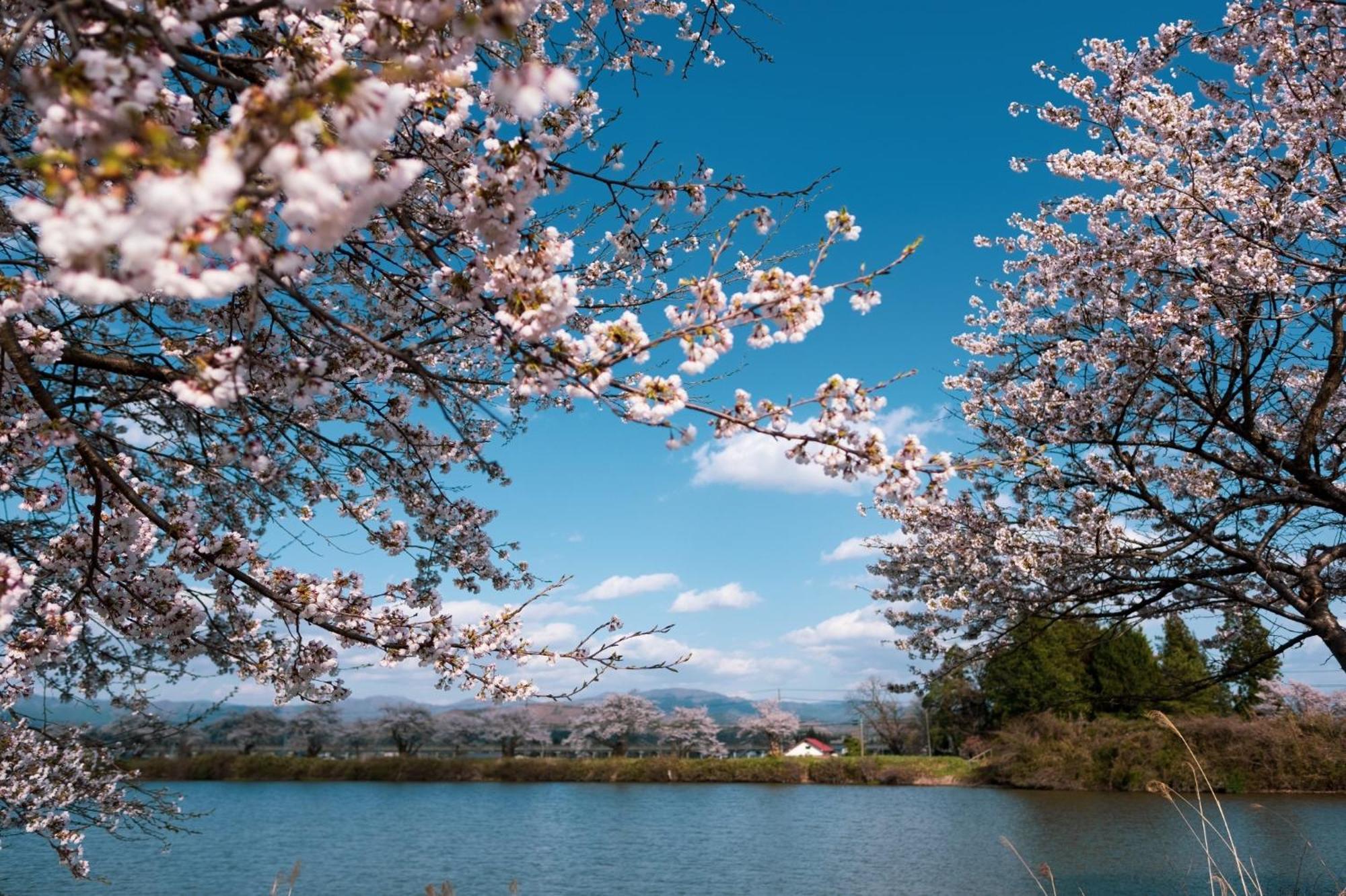 Honno Ryokan / Vacation Stay 60049 Yahaba Экстерьер фото